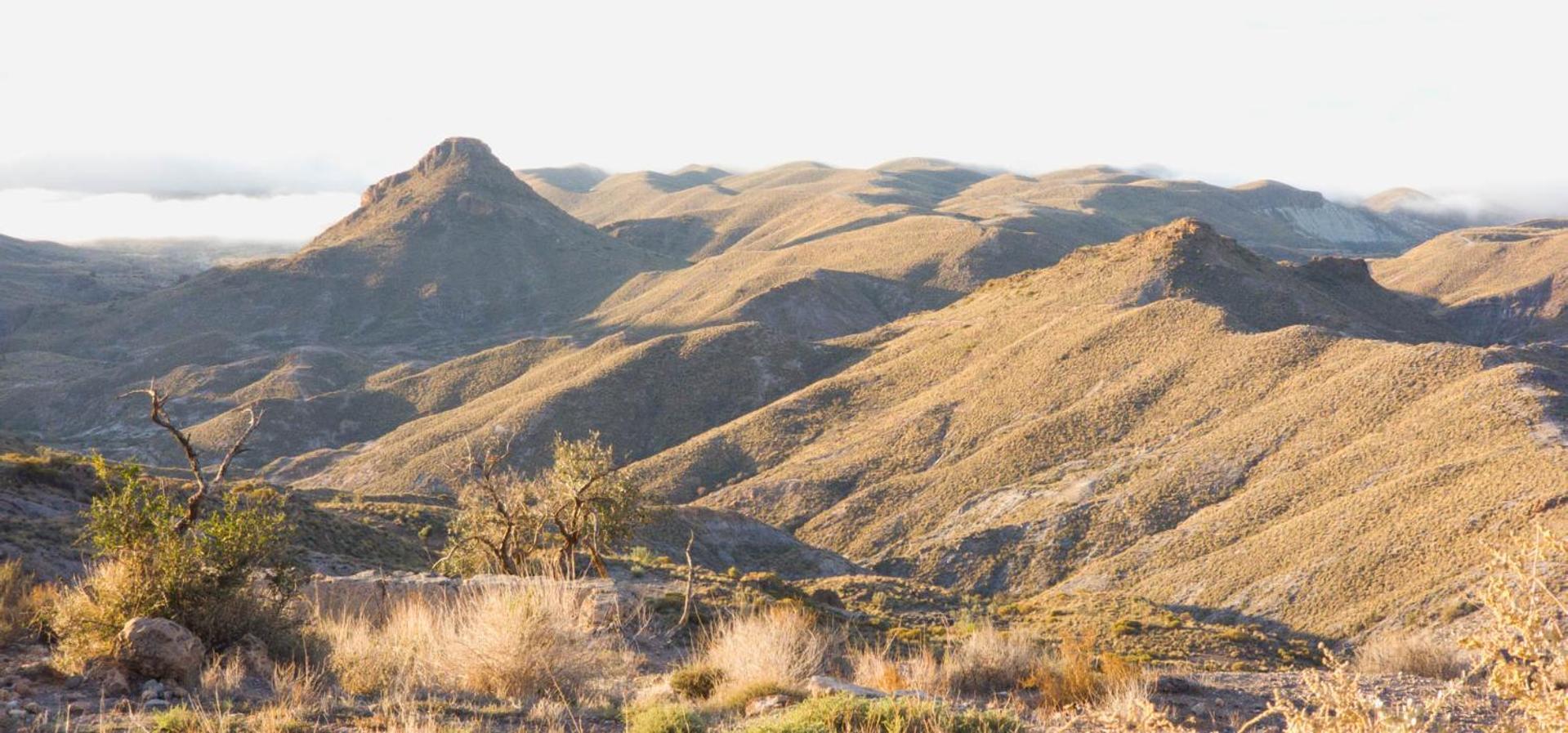 Cortijo El Albaricoque De La Sierra - Finca De 75 Hectareas ! นีคาร์ ภายนอก รูปภาพ