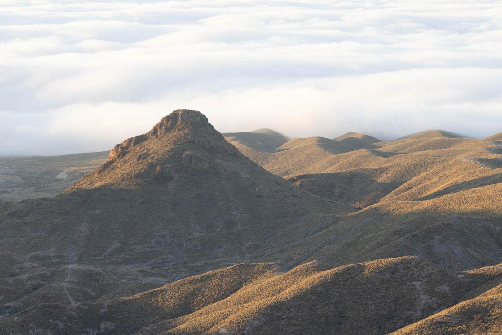 Cortijo El Albaricoque De La Sierra - Finca De 75 Hectareas ! นีคาร์ ภายนอก รูปภาพ