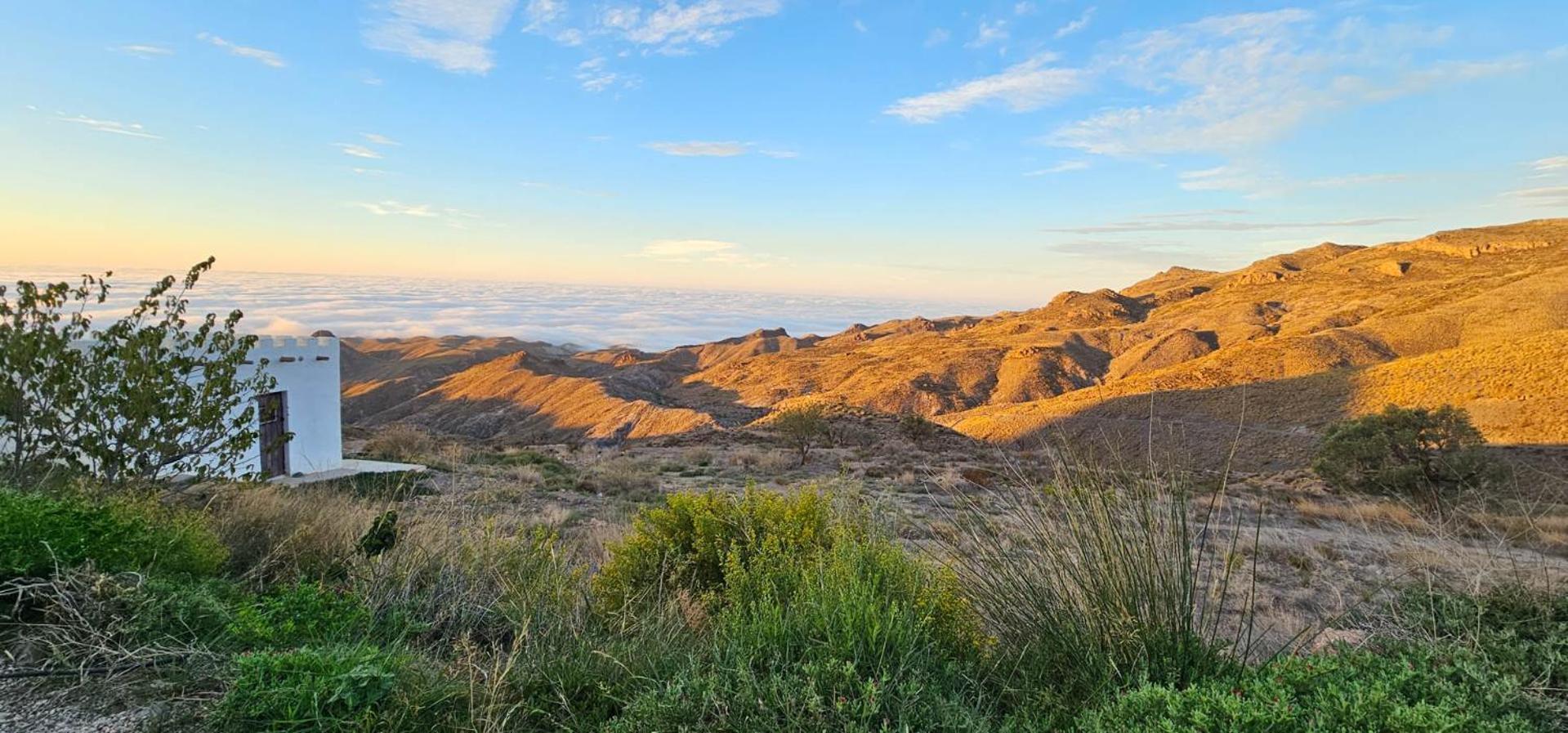 Cortijo El Albaricoque De La Sierra - Finca De 75 Hectareas ! นีคาร์ ภายนอก รูปภาพ